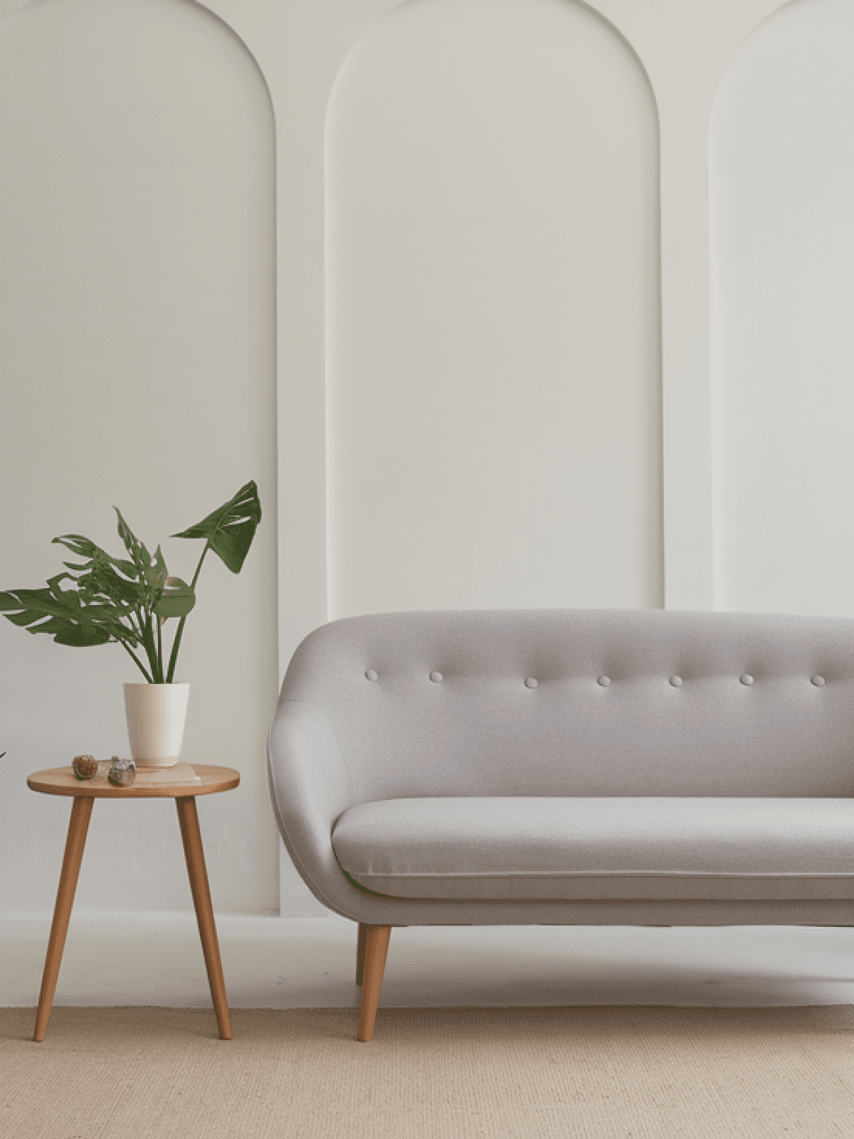 Ảnh minh hoạ sản phẩm và nguyên liệu